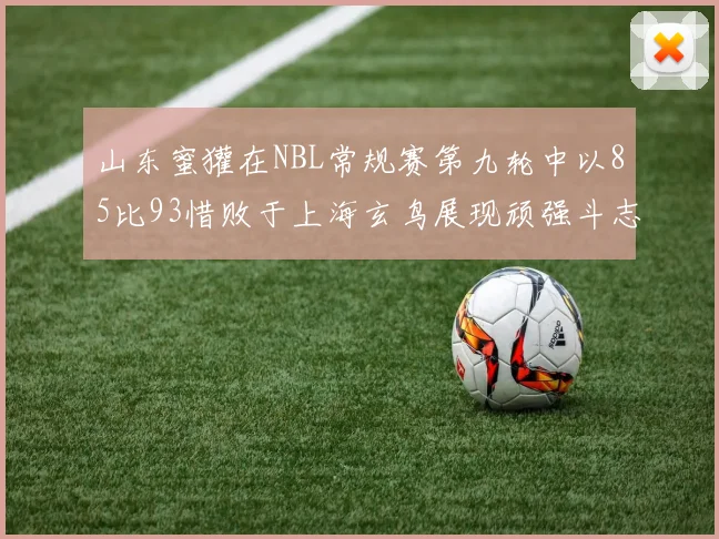 山东蜜獾在NBL常规赛第九轮中以85比93惜败于上海玄鸟展现顽强斗志