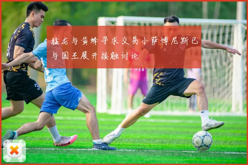 猛龙与黄蜂寻求交易小萨博尼斯已与国王展开接触讨论